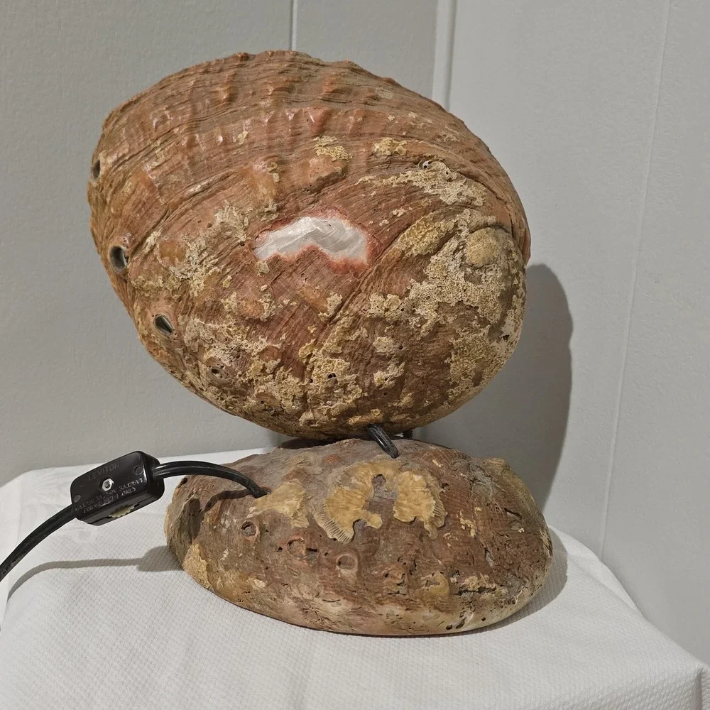 Vintage 60s Abalone Shell Lamp Mother of Pearl Coastal Beach Decor Night Light